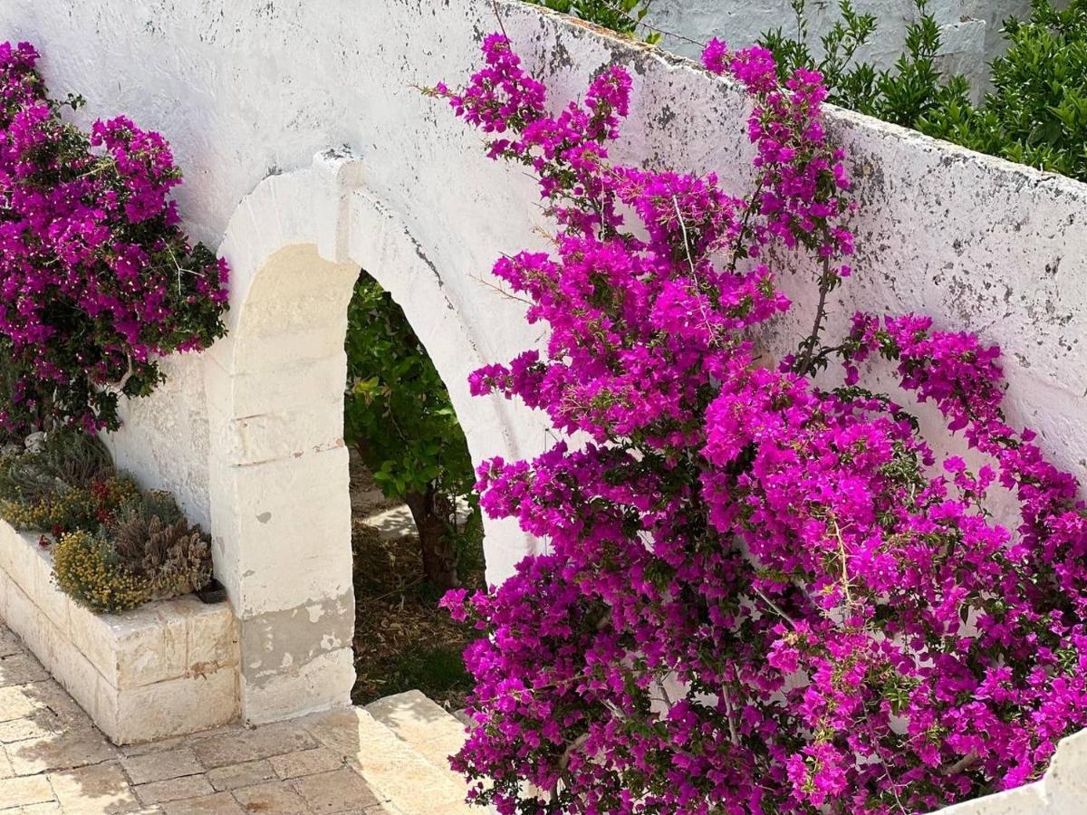 Masseria Piccole Taverne Rosa Marina Eksteriør bilde