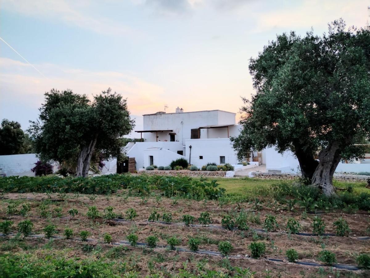 Masseria Piccole Taverne Rosa Marina Eksteriør bilde