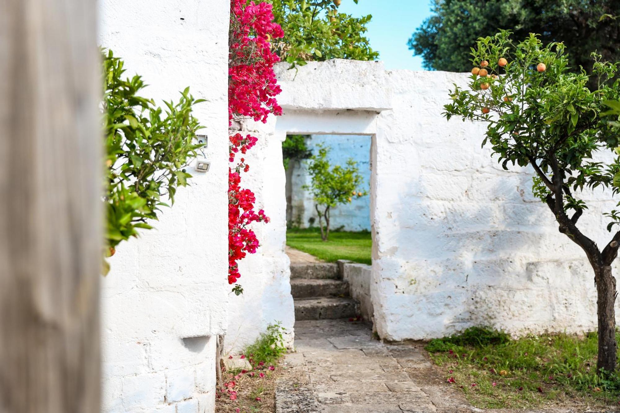 Masseria Piccole Taverne Rosa Marina Eksteriør bilde