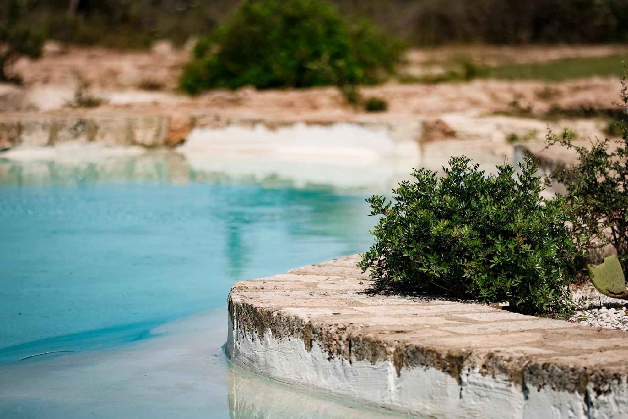 Masseria Piccole Taverne Rosa Marina Eksteriør bilde