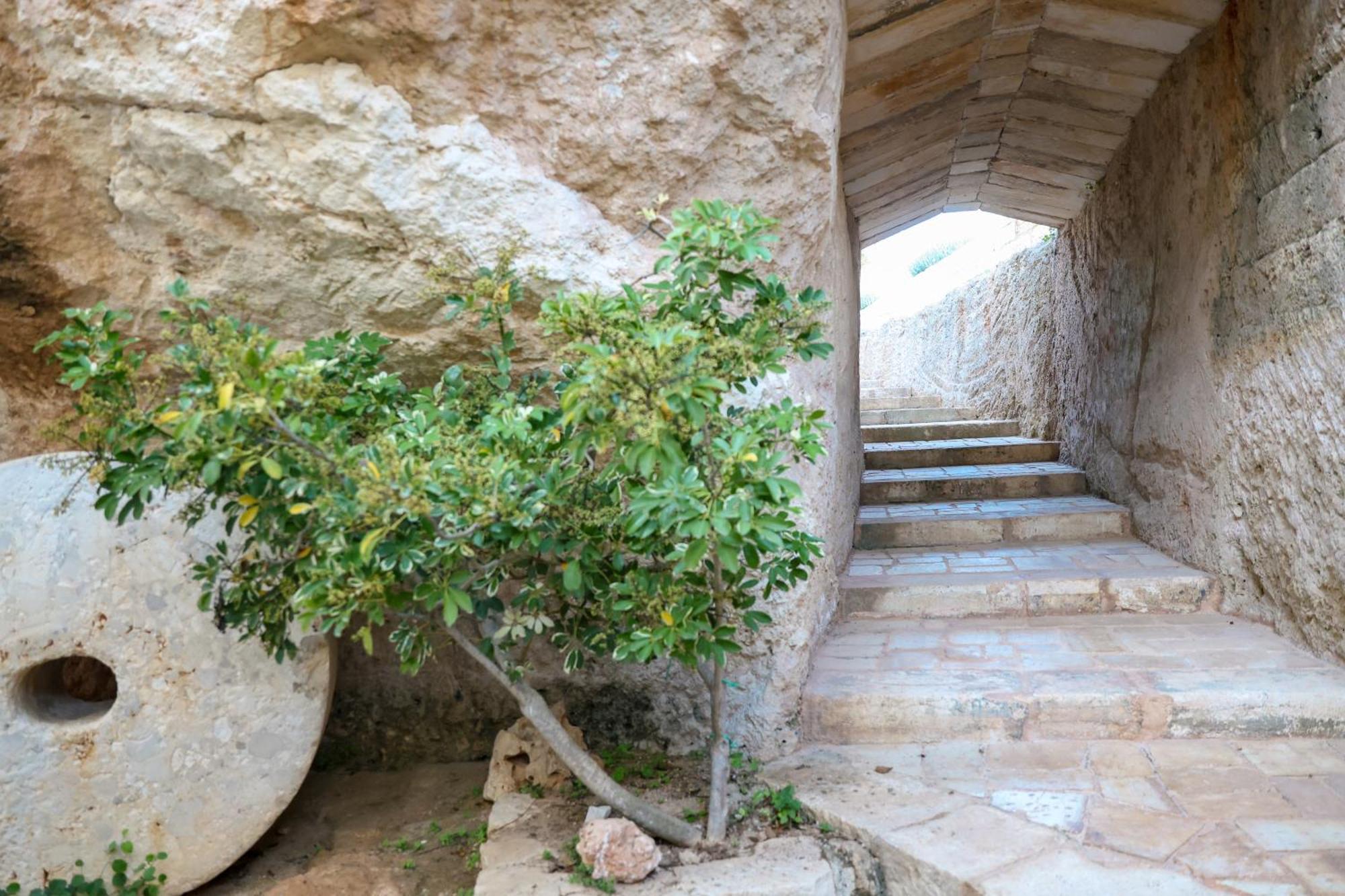 Masseria Piccole Taverne Rosa Marina Eksteriør bilde