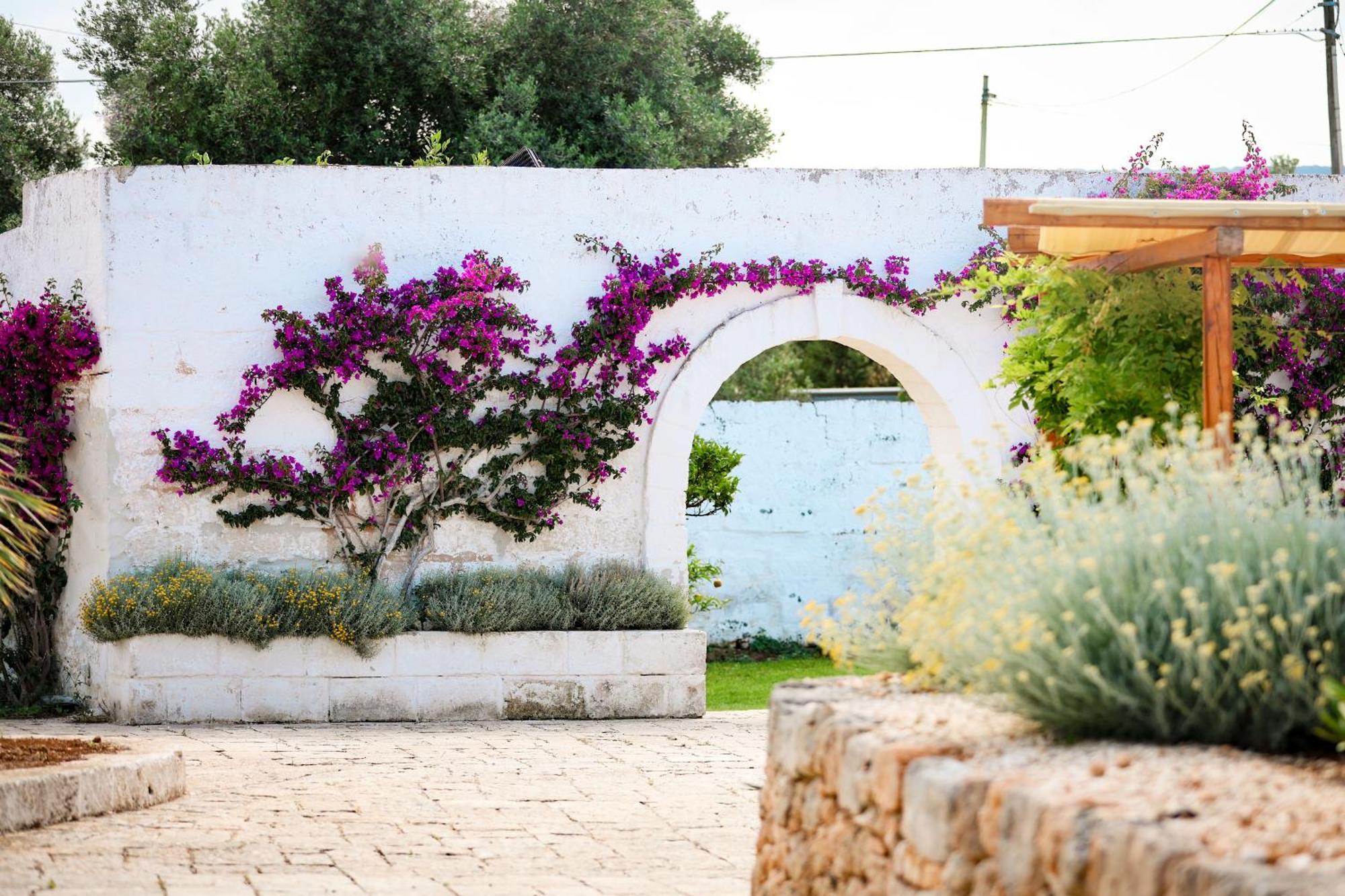 Masseria Piccole Taverne Rosa Marina Eksteriør bilde