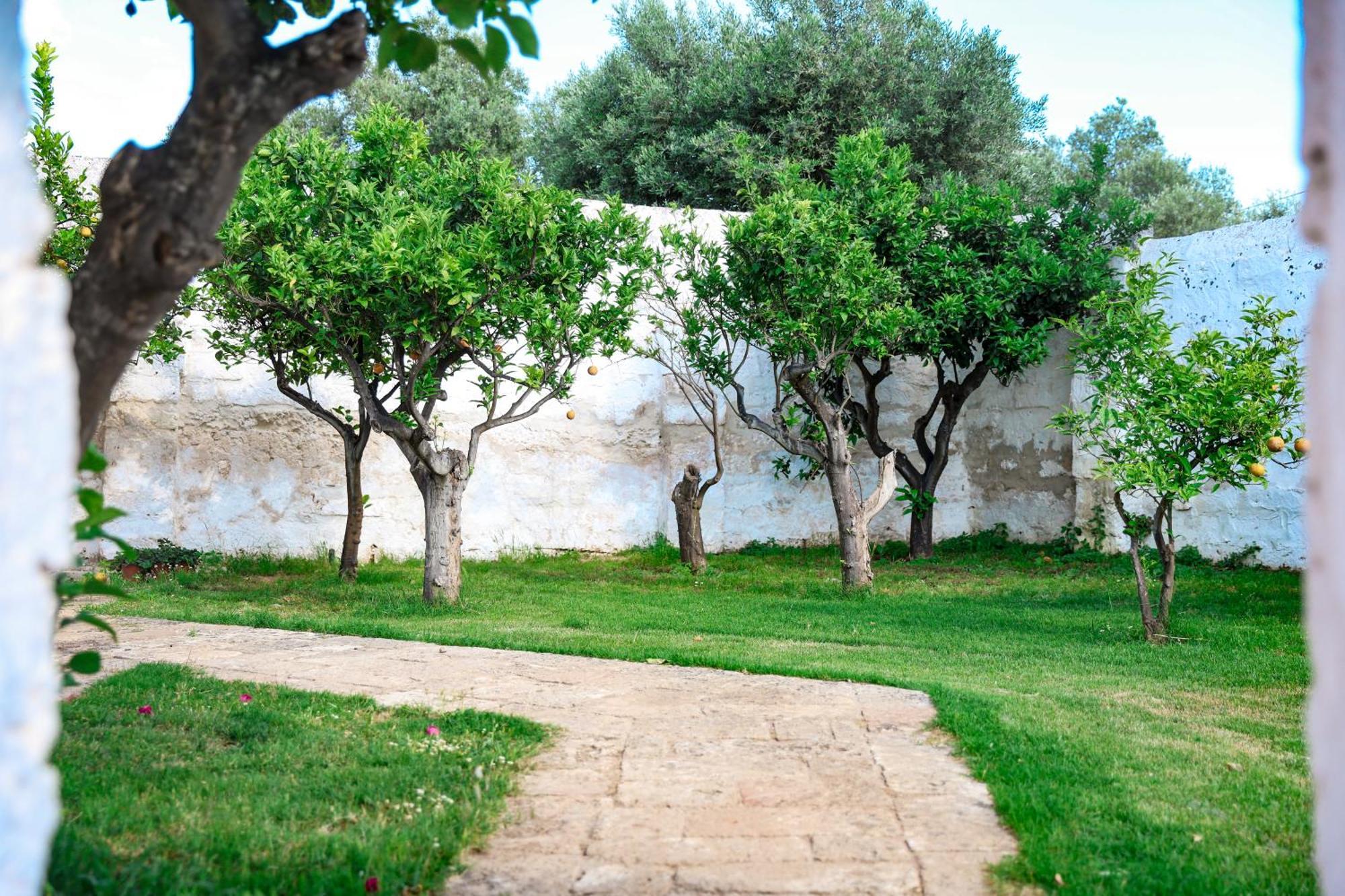 Masseria Piccole Taverne Rosa Marina Eksteriør bilde